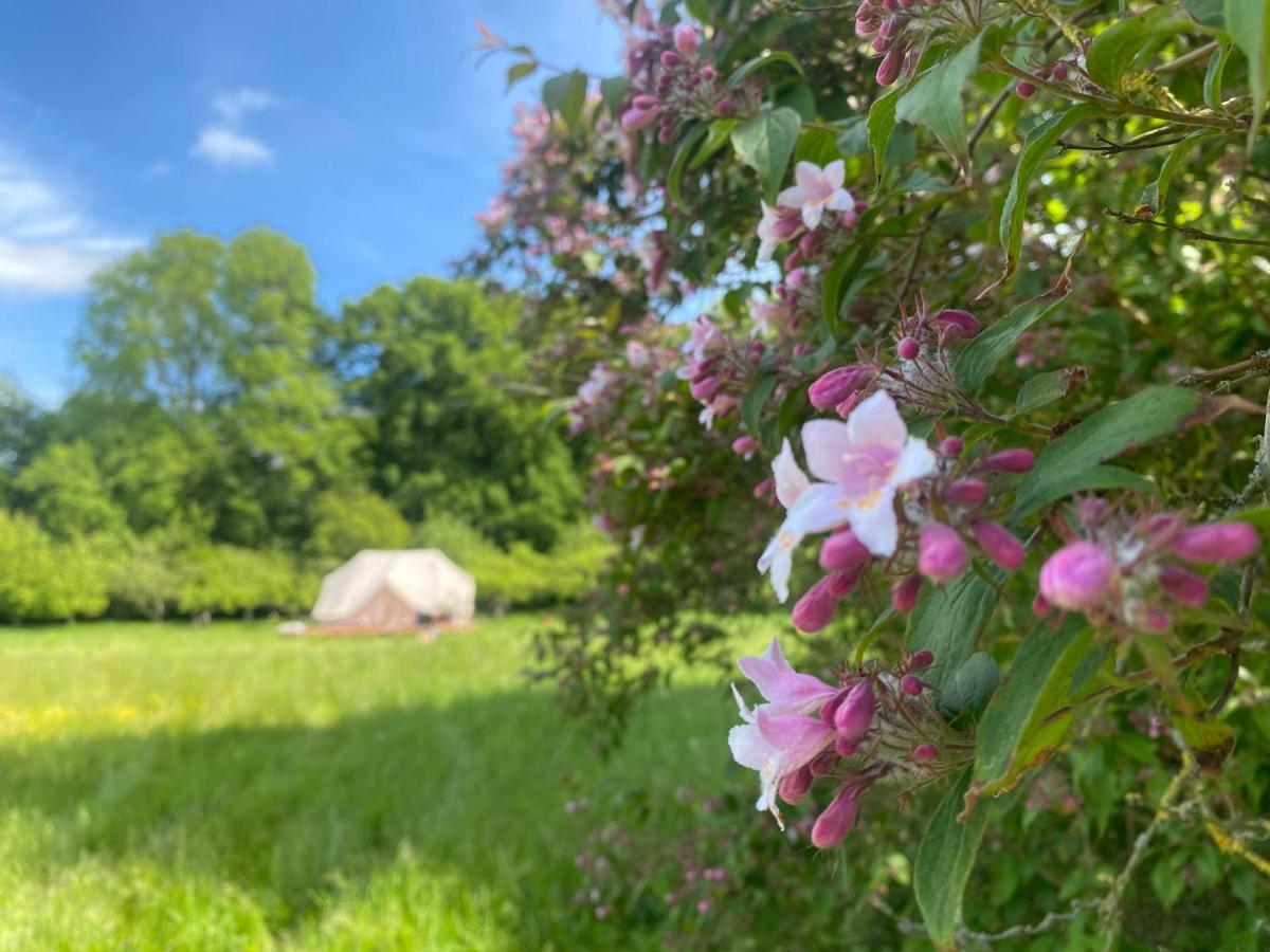 Sønderborg Green Glamping מראה חיצוני תמונה